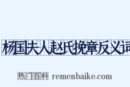 杨国夫人赵氏挽章反义词是什么意思的图片